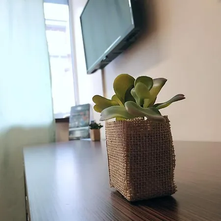 모텔 Richi 체니카