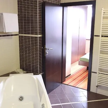 Motel Richi 3*